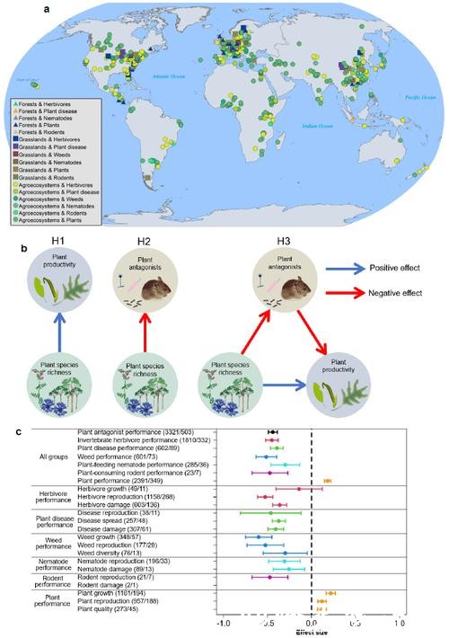 植物“混搭”种防虫又增产,华理团队联合中外科研人员揭秘农田生态新秘诀 植物“混搭”种防虫又增产,华理团队联合中外科研人员揭秘农田生态新秘诀
