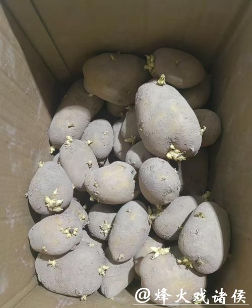 沪上打工人误食网购“毒土豆”,两年饱受折磨!医生提醒 沪上打工人误食网购“毒土豆”,两年饱受折磨!医生提醒